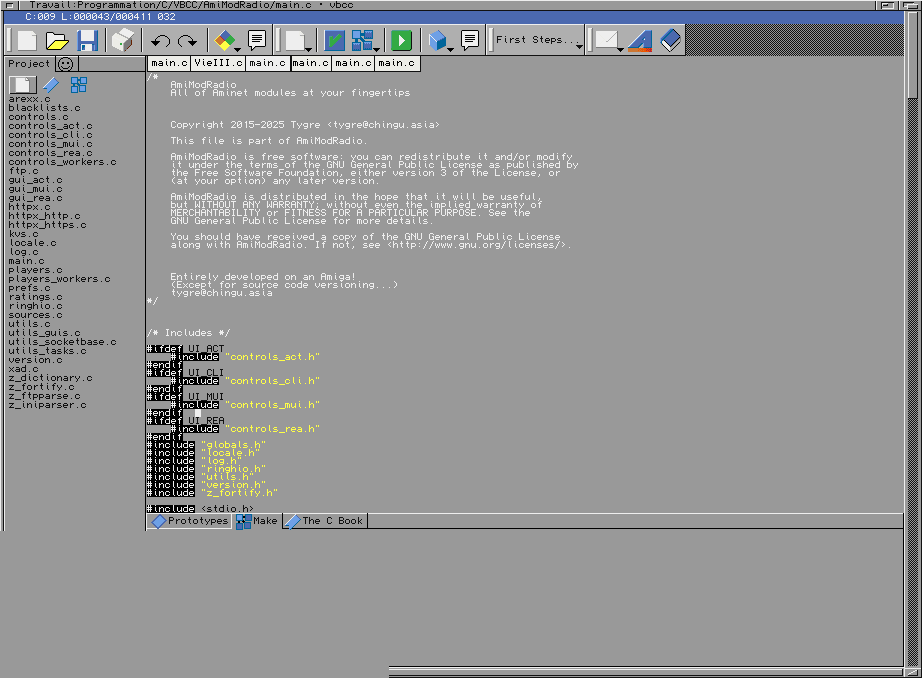 Programming Amiga